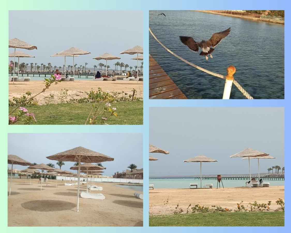 Scandic Resort In Hurghada, Egypt Exteriör bild